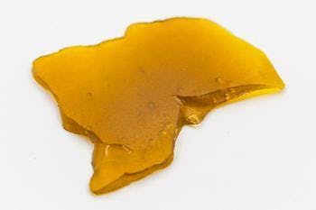 Madrone THC Canis Major Shatter