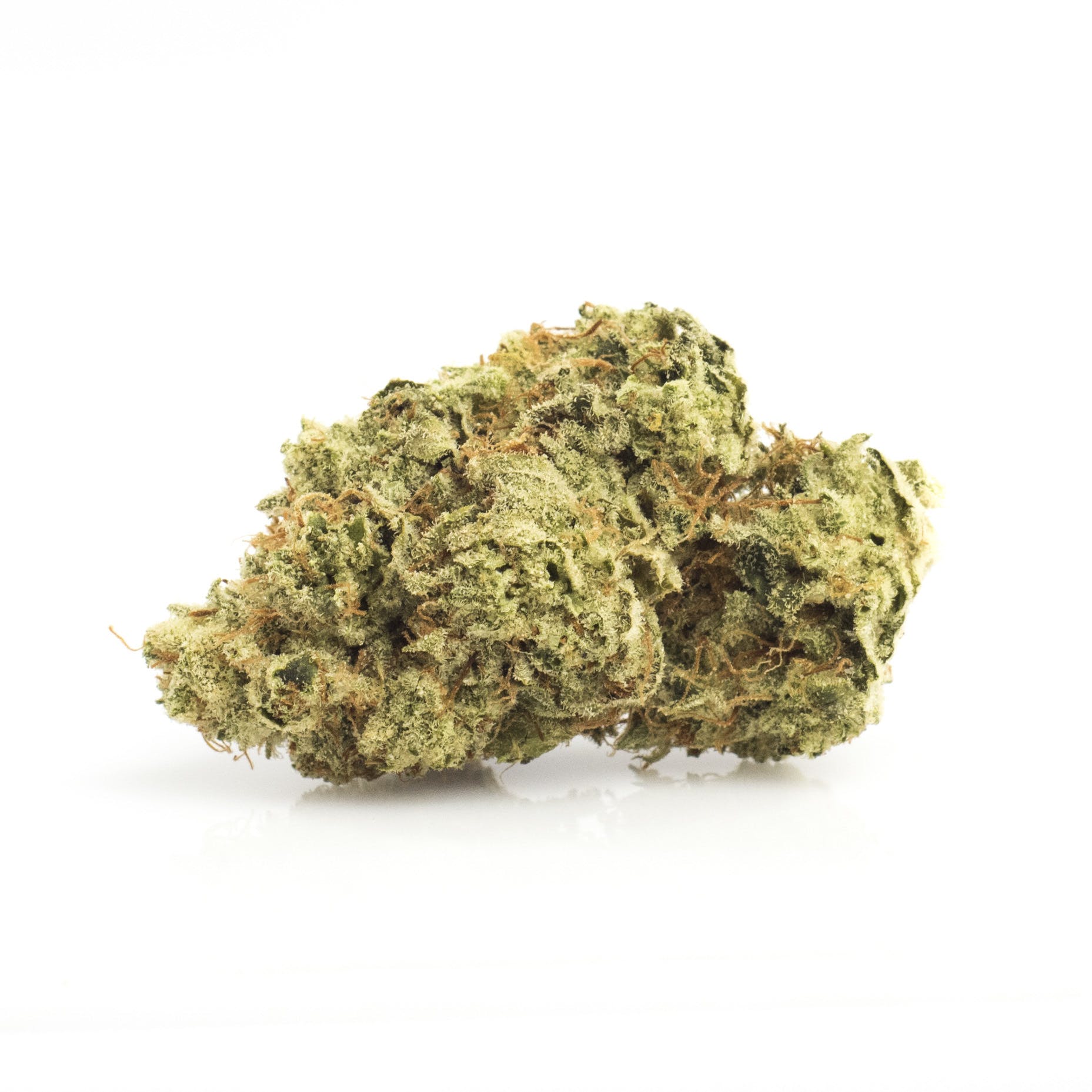 Magellan | Oregon Cannabis Authority | 26.1% THC