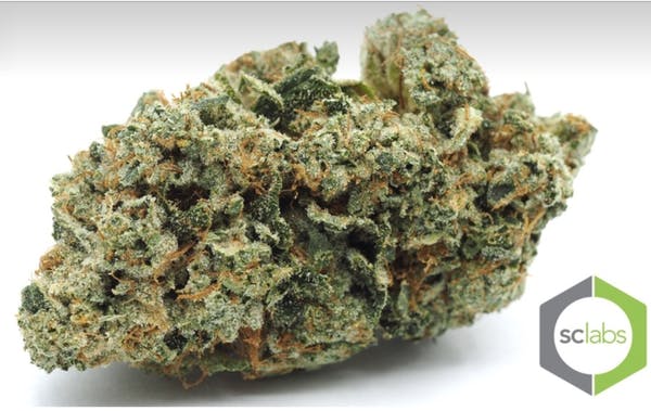 marijuana-dispensaries-12581-venice-blvd-los-angeles-magna-carta-og
