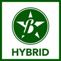 hybrid-manager-selected-strain