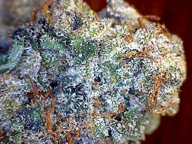marijuana-dispensaries-83-magneto-dr-pueblo-west-mandarin-skunk