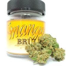 MANGO BRULEE-16.8%THC,0%CBD--HYBRID,MONTEREY KUSH CO