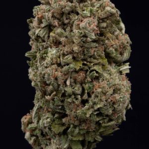 Mango Haze (MEDICAL) | Aroma Cannabis