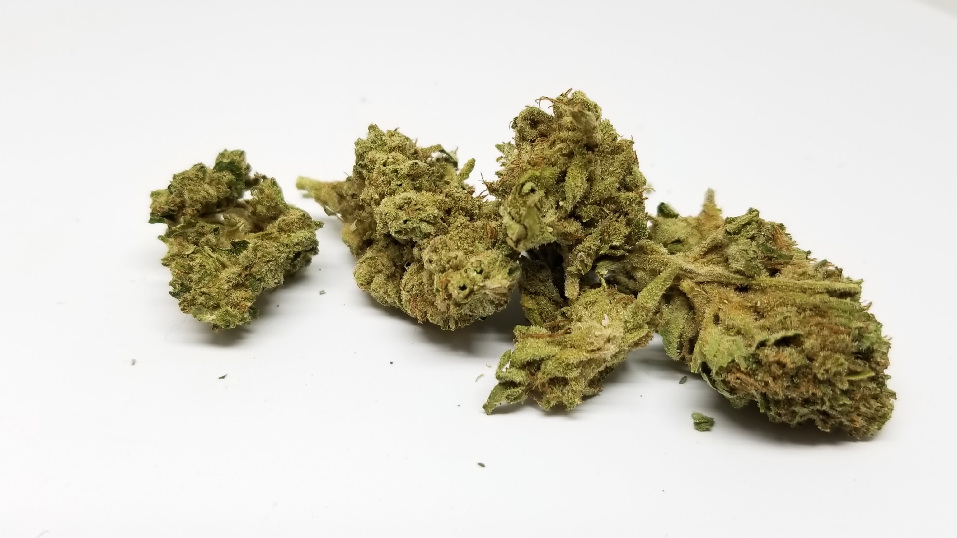 marijuana-dispensaries-vip-collective-in-los-angeles-mango-haze