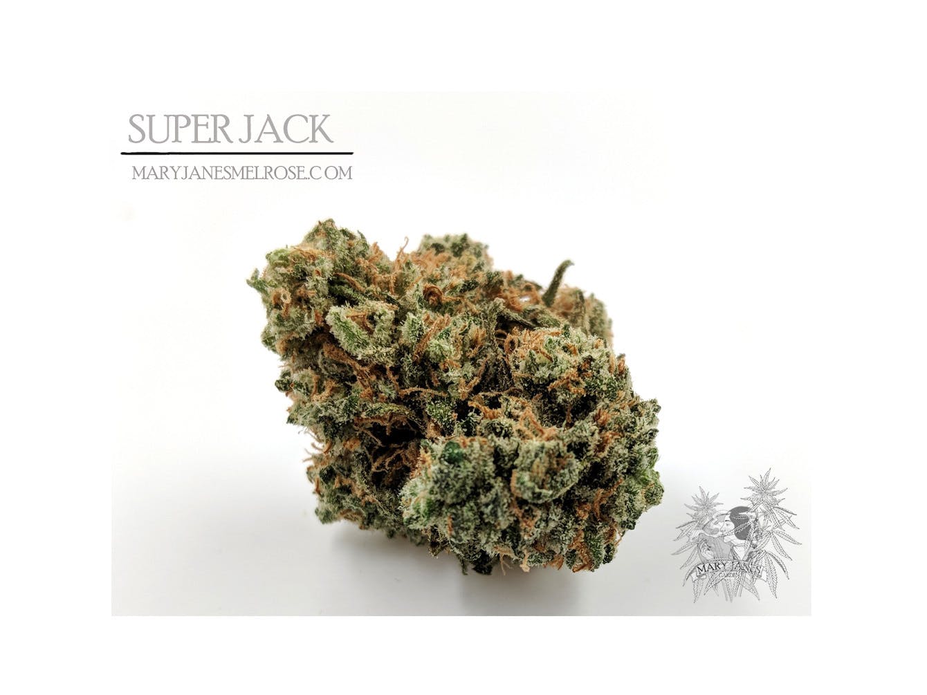marijuana-dispensaries-4901-melrose-ave-los-angeles-mary-janes-super-jack-19-5-25-thc
