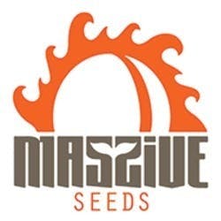 Massive Seeds | Masterpack | Multiple Varieties | 10-pack | (3018 2)
