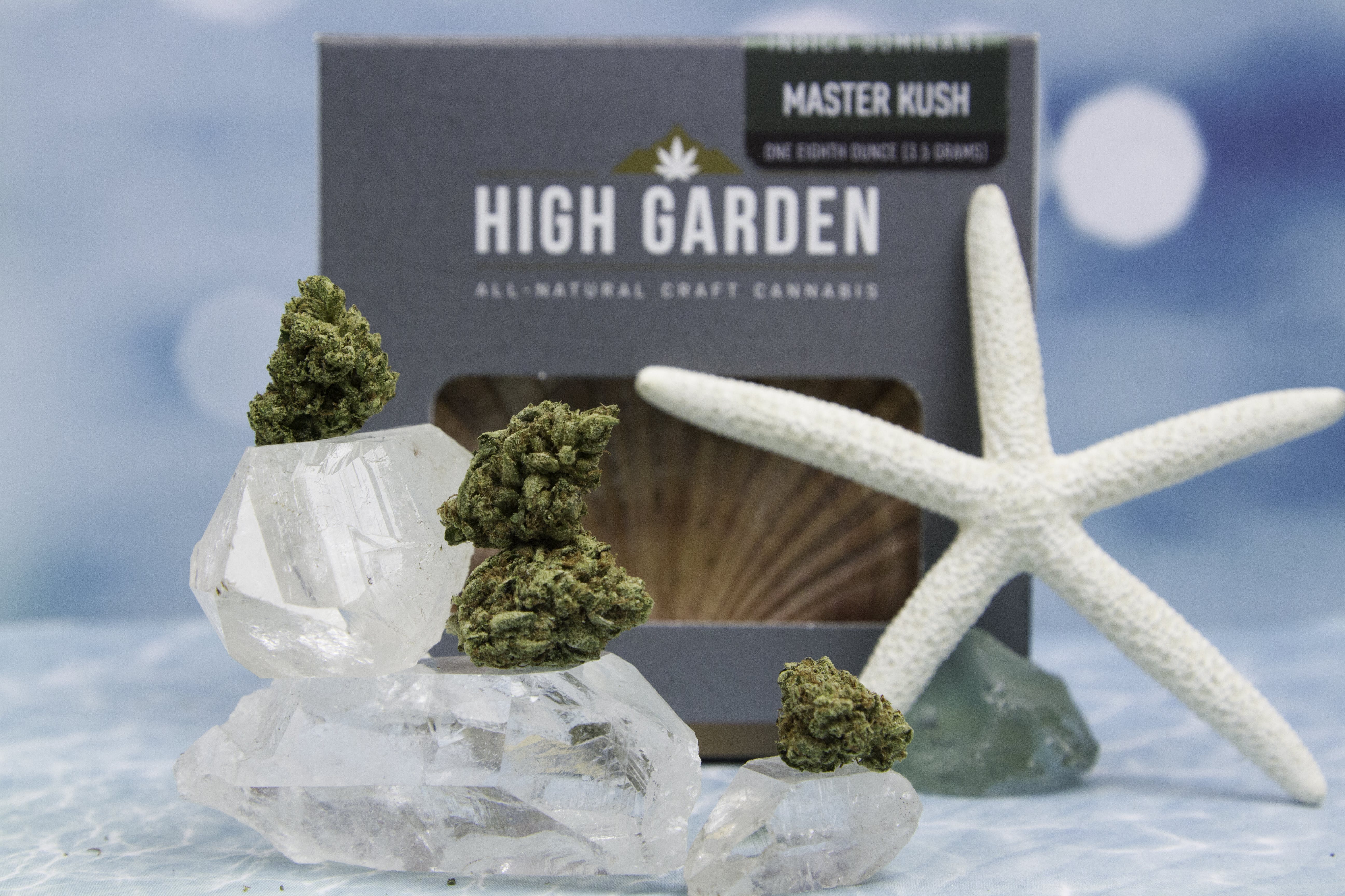 marijuana-dispensaries-22775-pacific-coast-highway-malibu-master-kush-from-high-garden