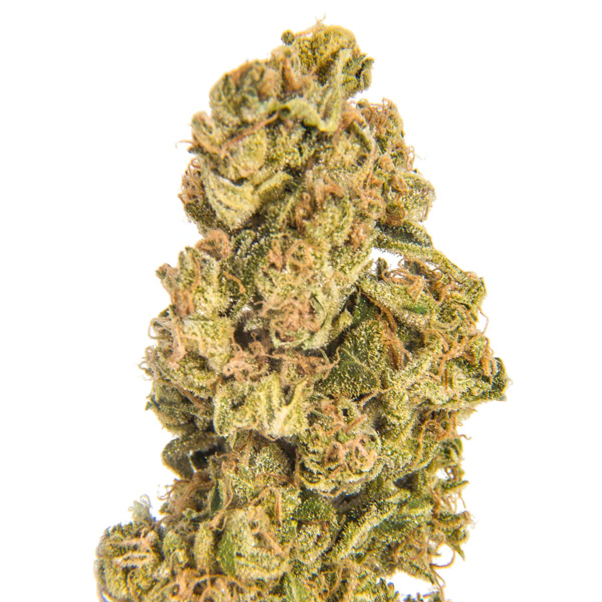 marijuana-dispensaries-crown-cannabis-in-tulsa-master-kush
