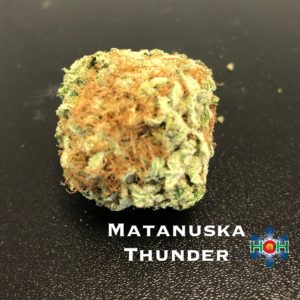 Matanuska Thunder