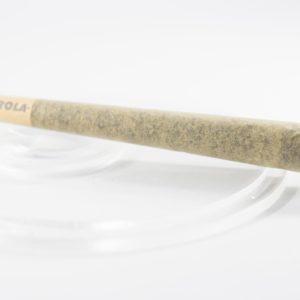 Matriarch | 1 Gram Pre-roll by Shore Natural