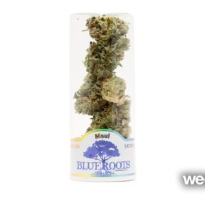 Maui - Blue Roots Cannabis
