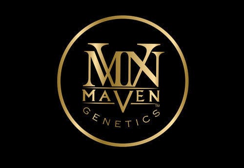 Maven Genetics - Forbidden Fruit