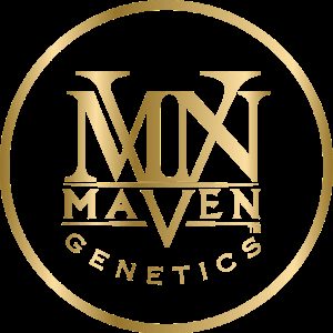Maven Genetics - Mendo Breath