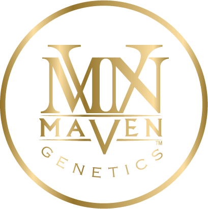 Maven Genetics - Pre 98 Bubba Kush