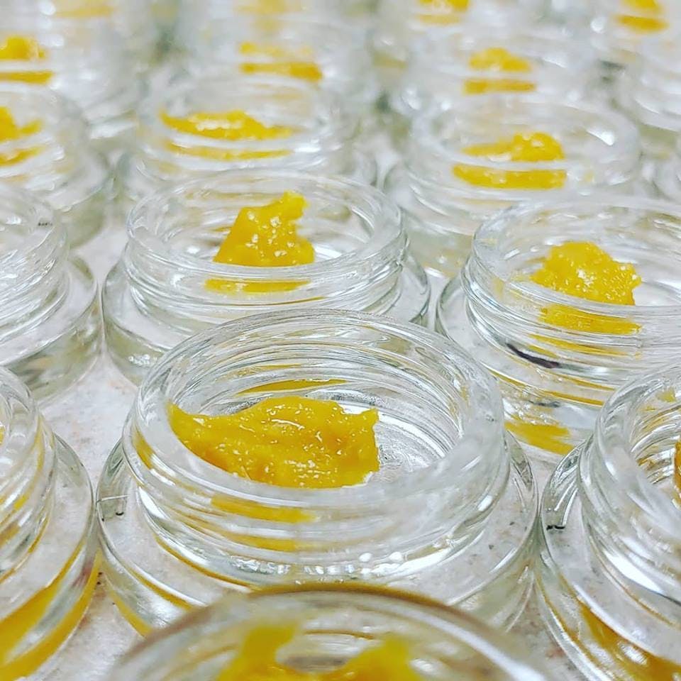 MED - Dabble Extracts Fondant shatter