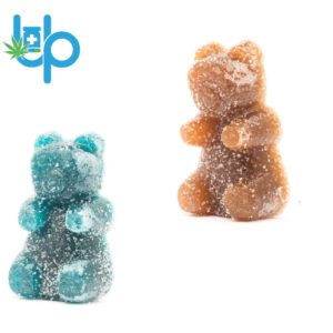 Meddy Bear Gummies - 100 mg