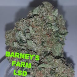 Medical/ Barney's Farm LSD