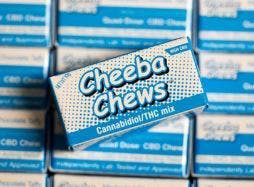 MEDICAL Cheeba Chews CC Brands LLC High CBD 50mg THC 20mg CBD