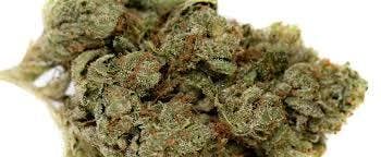 Medical Ounce and Half ounce SPECIALS!!!