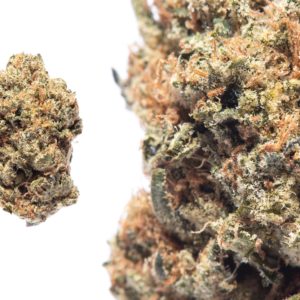 *Medical/Online(21+)* Butter OG by Foxworthy Farms