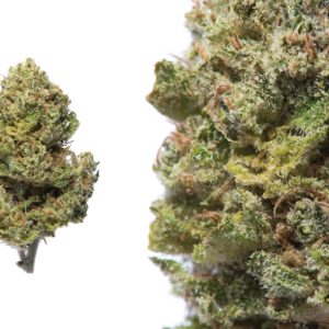 *Medical/Online(21+)* Cherry AK by UPNORTH