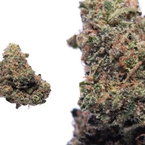 *Medical/Online(21+)* Sapphire By UPNORTH