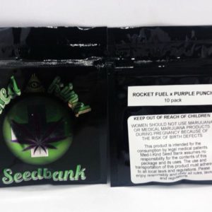 Medikind Seedbank Pack of Seeds - Rocket Fuel X Purple Punch