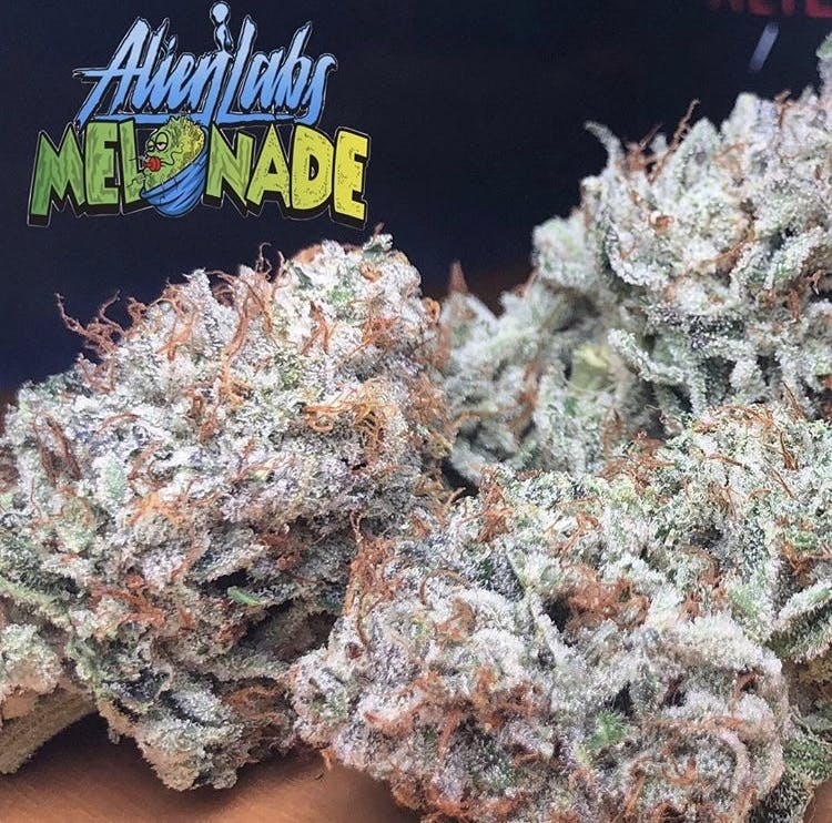 marijuana-dispensaries-mosaic-in-los-angeles-melonade
