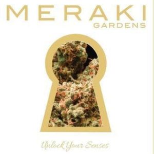 Meraki Gardens Pre-Loaded Chillum (0.2g) Star Dawg