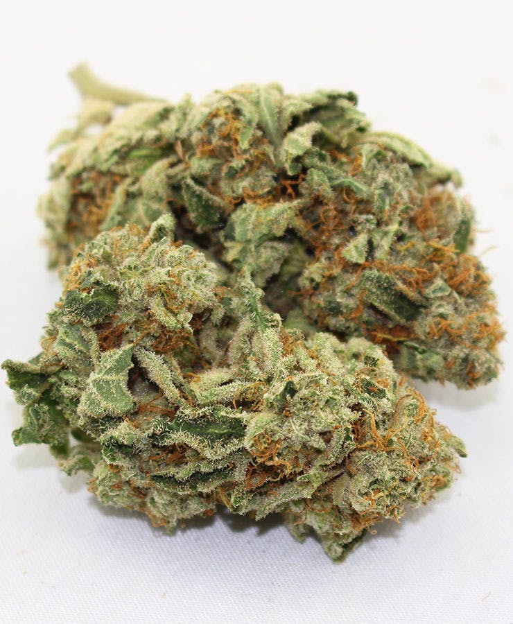marijuana-dispensaries-130-north-brookhurst-st-anaheim-mid-shelfbaby-gorilla
