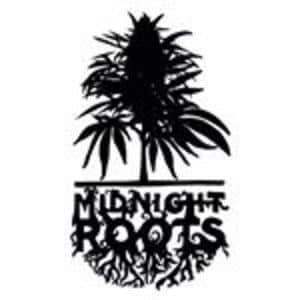 Midnight Roots Seeds