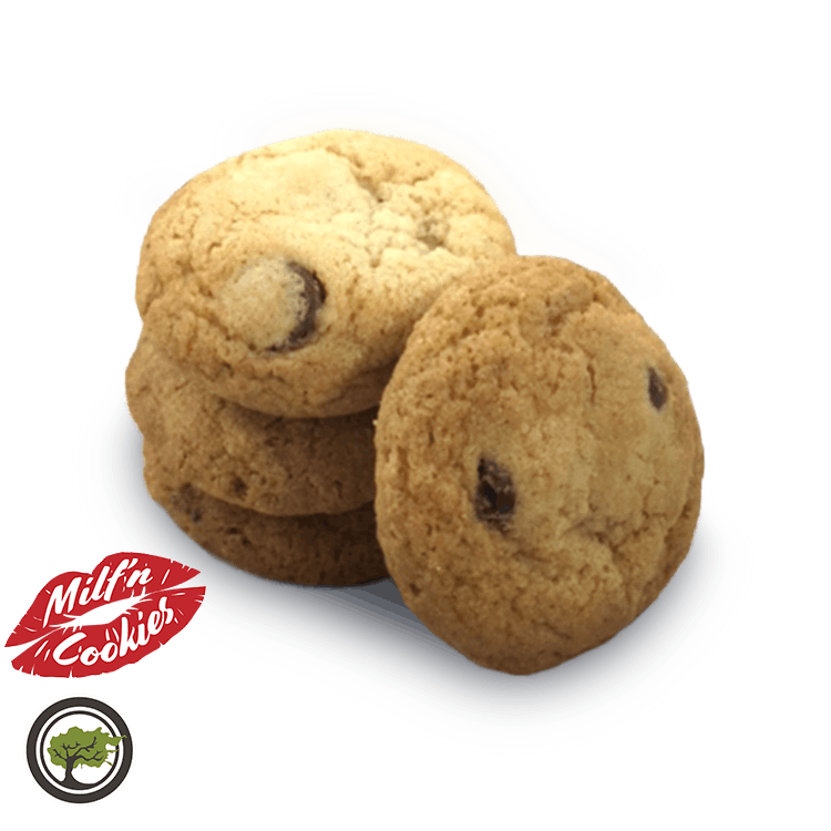 MILF N COOKIES - Chocolate Chip Cookie Bite (50MG)