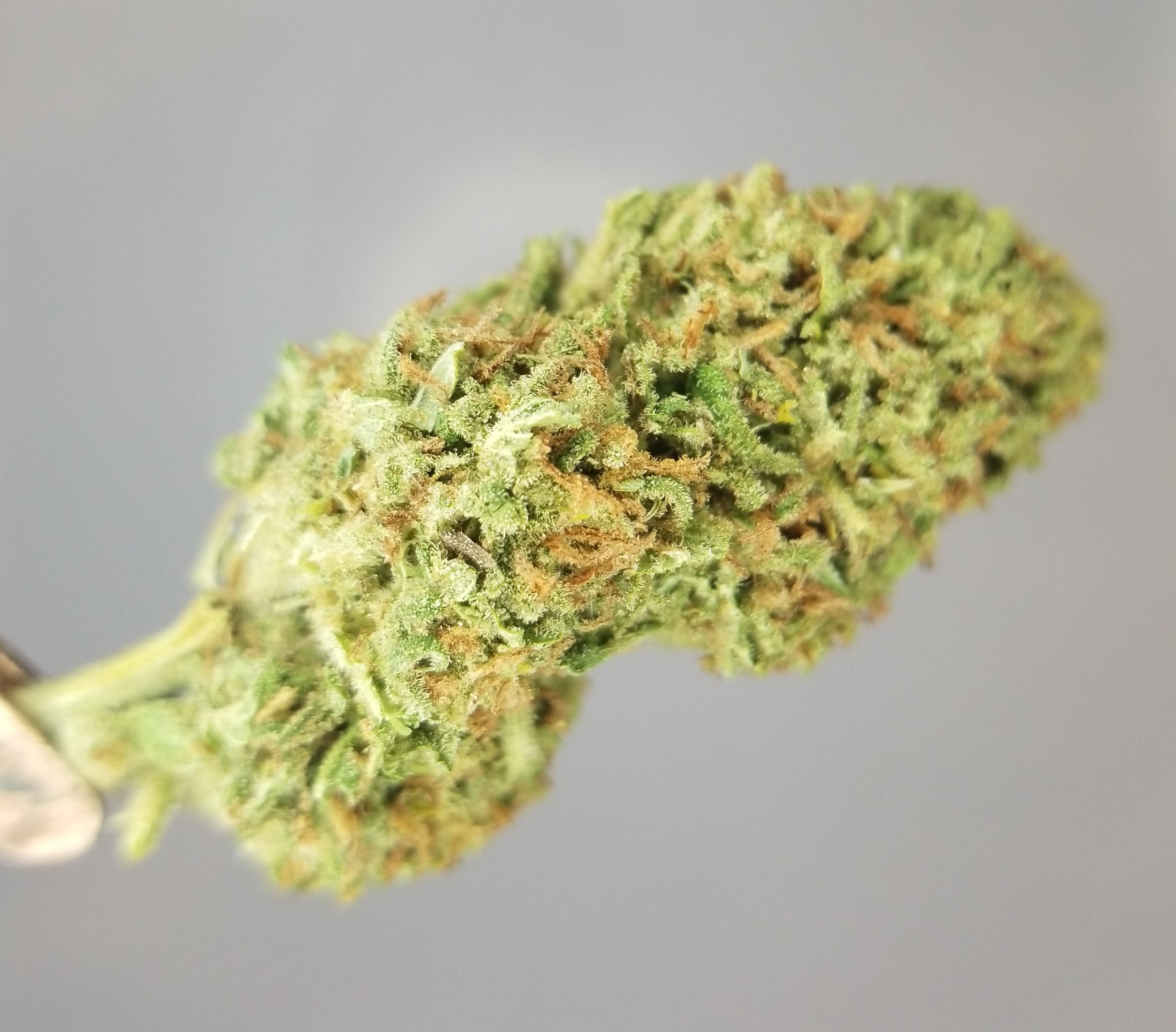 marijuana-dispensaries-2893-oak-street-eugene-millennium-lemon-sour-diesel