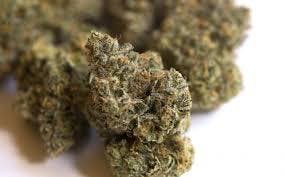 marijuana-dispensaries-17246-vanowen-street-van-nuys-mimosa-green-cookies-private-reserve
