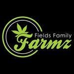 Mimosa (Hybrid) by Fields Family Farmz