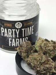 Mimosa | Party Time Farms