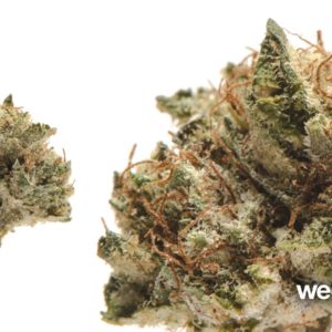 Mindful: Girl Scout Cookies - Flower