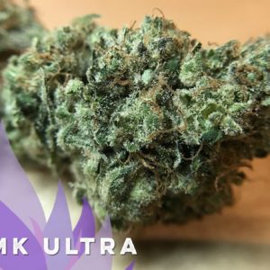 MK Ultra - from Curio