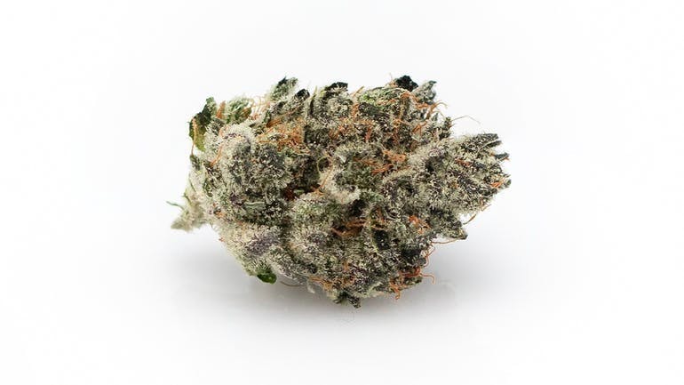 marijuana-dispensaries-4503-paradise-rd-2c-suite-210-240-las-vegas-mmg-alien-cookies-flower