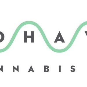 Mohave Shatter Extracts