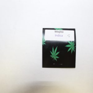 Mojito 5-Pack