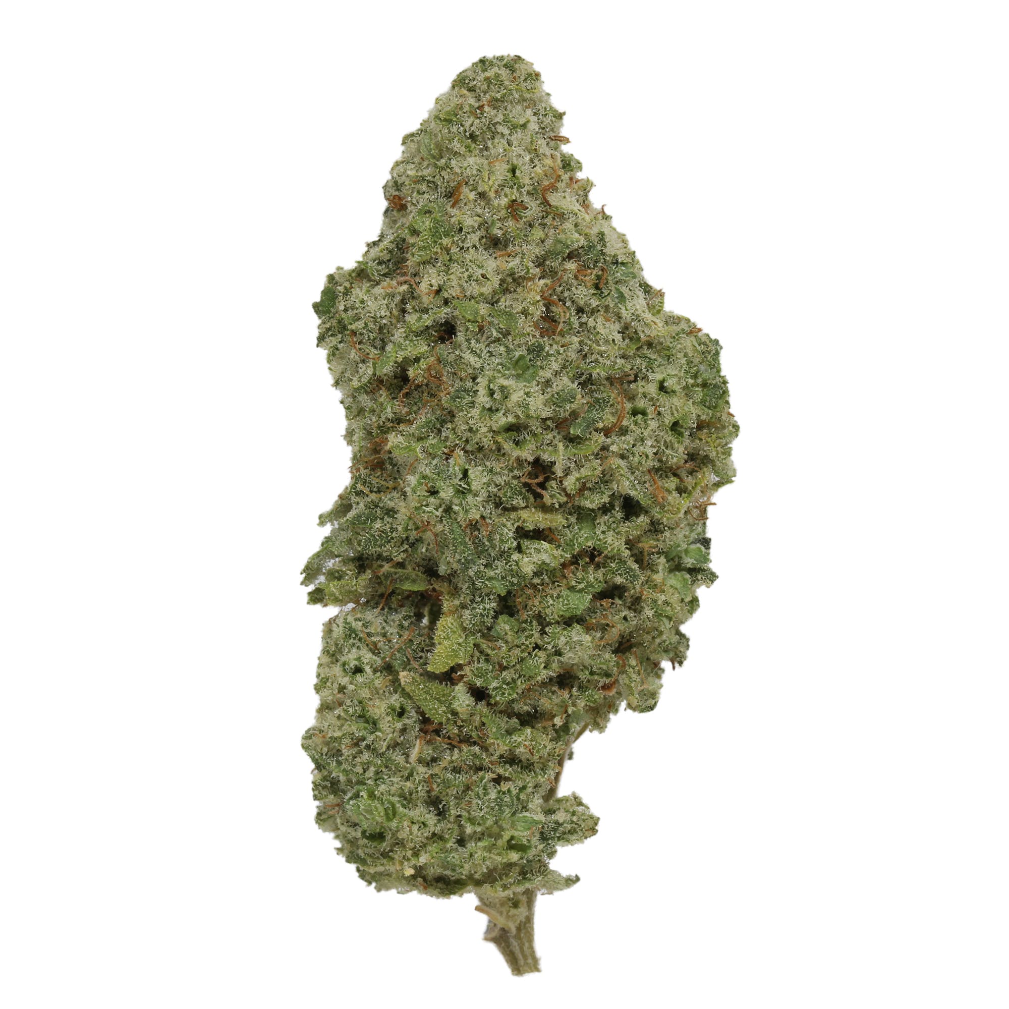 marijuana-dispensaries-49-kearny-street-2c-3rd-floor-san-francisco-mojito-by-up-north