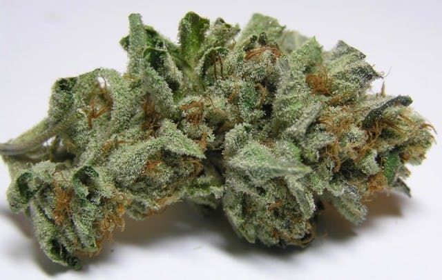 marijuana-dispensaries-114-n-brookhurst-st-anaheim-money-maker-og-top-shelf