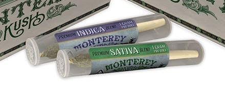 Monterey Kush- 1g Sativa