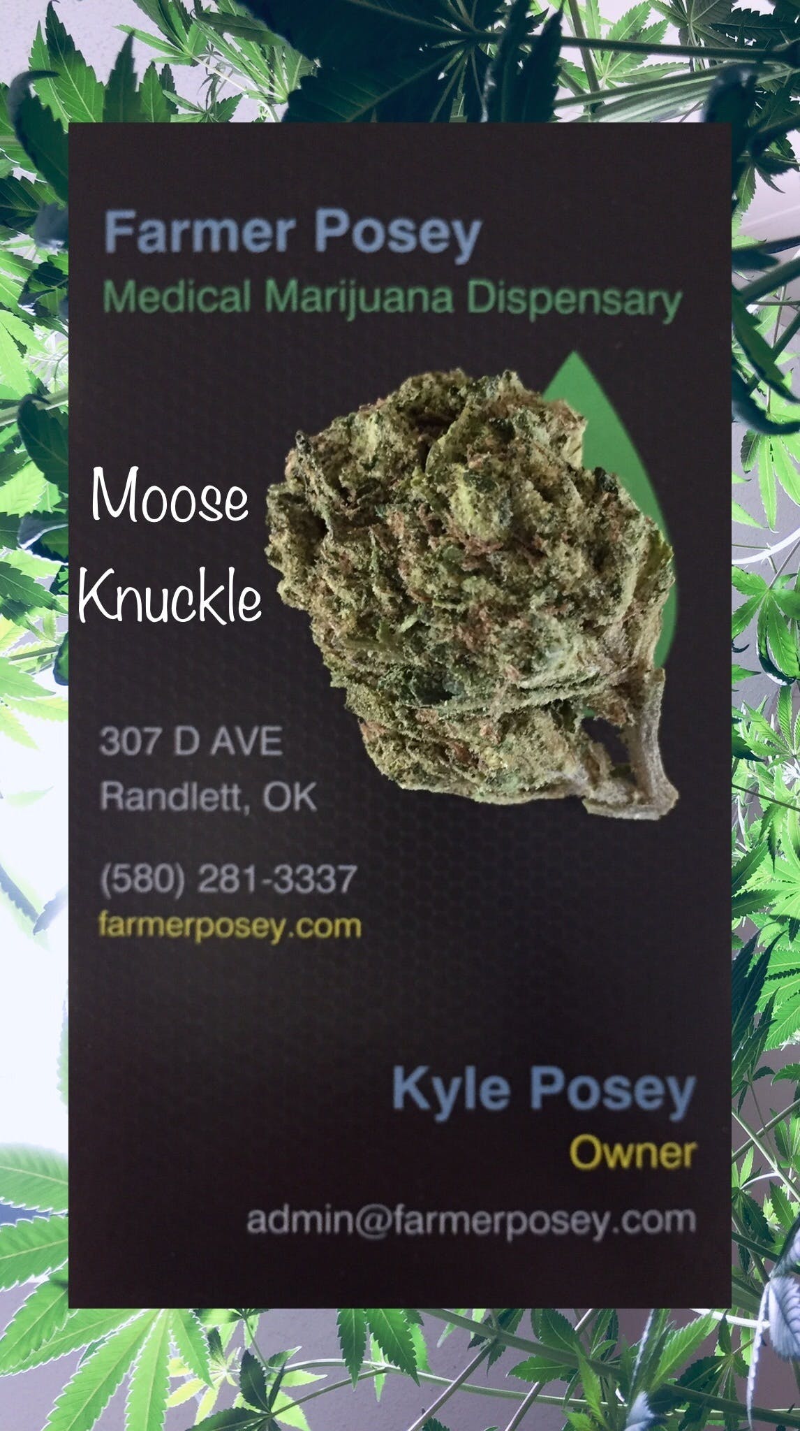 marijuana-dispensaries-307-d-ave-randlett-moose-knuckle