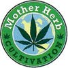 Mother Herb - Lime Light (H)