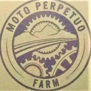 Moto Perpetuo Cartridge - Tangie - Tax Included (Rec)