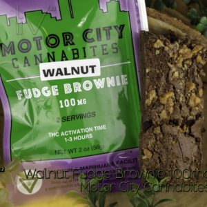 Motor City Cannabites 100mg - Walnut Brownie