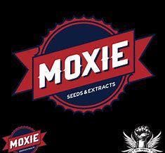 MOXIE 710 LIVE RESIN SUGAR
