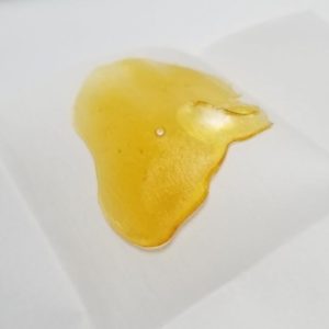 Moxie- Animal Cookies Live Resin Shatter